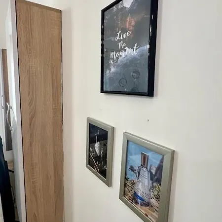 Urban Oasis Magnet *