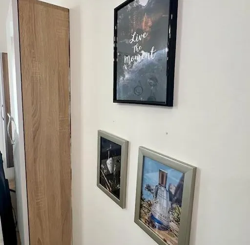 Urban Oasis Magnet *